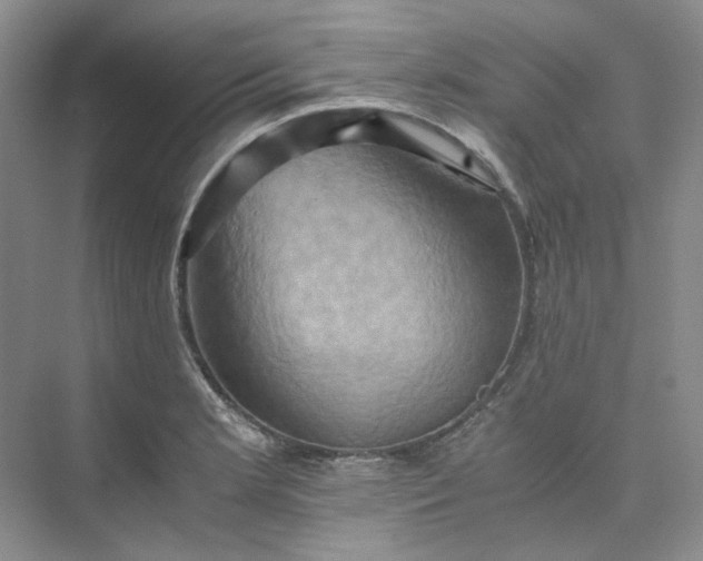 X0000075861181200609291540