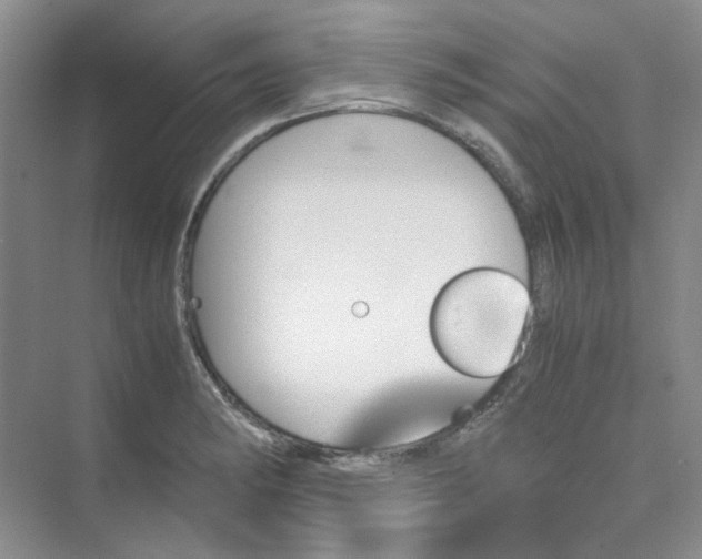 X0000075861182200609291540