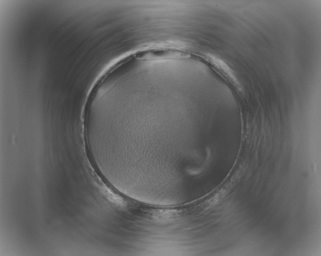 X0000075861184200609291540