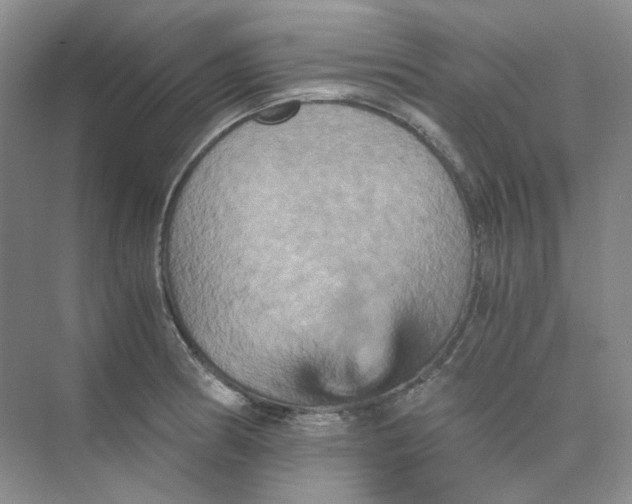 X0000075861186200609291540