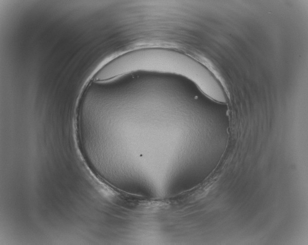 X0000075861187200609291540