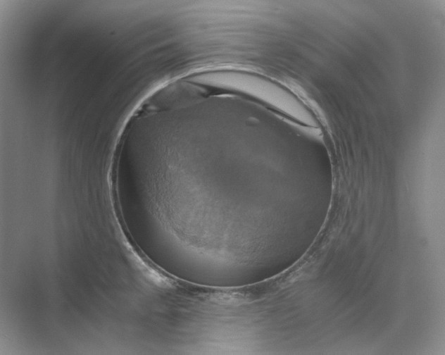 X0000075861189200609291540