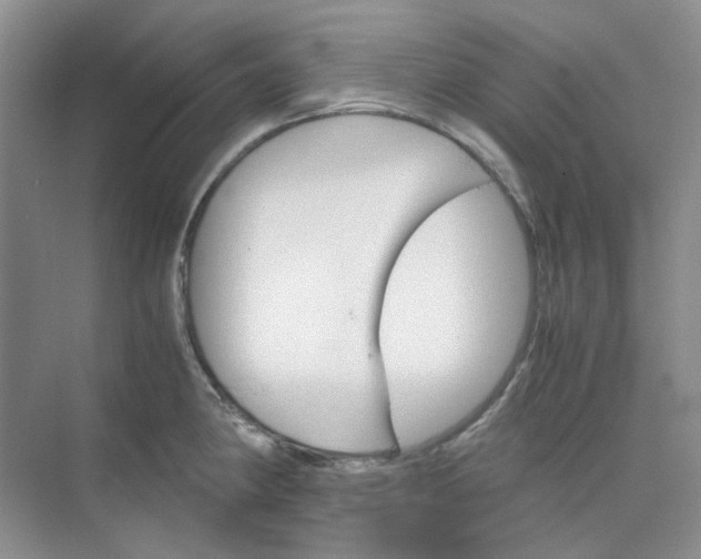 X0000075861190200609291540