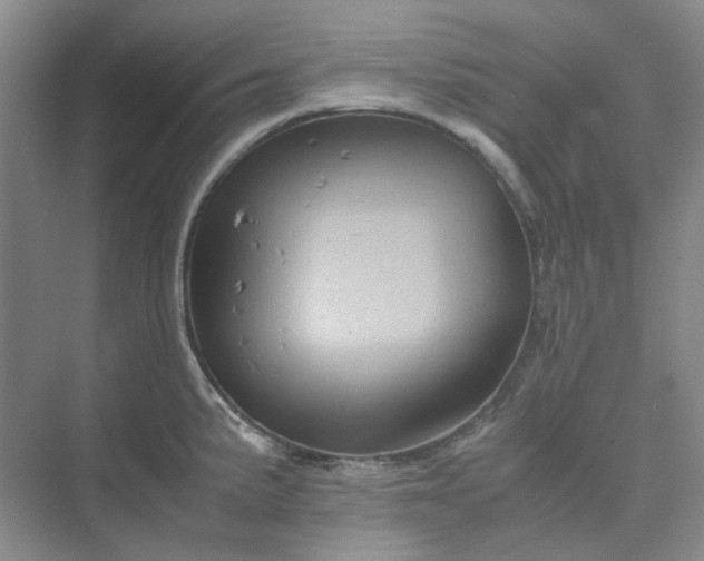 X0000075861191200609291540