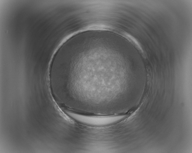 X0000075861192200609291540