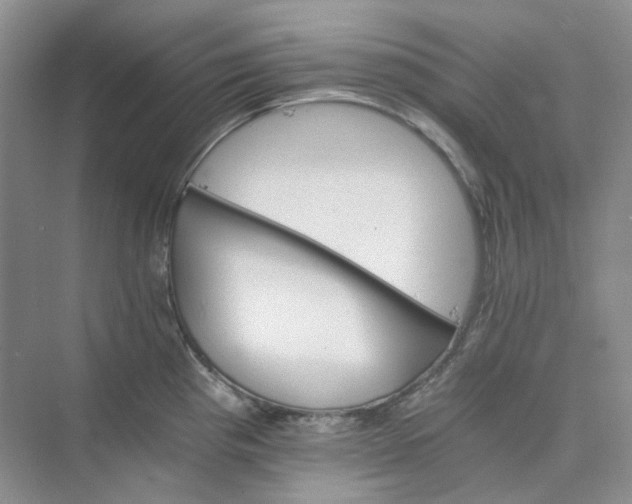 X0000075861193200609291540