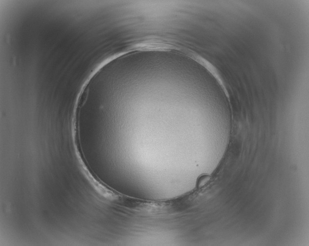 X0000075861195200609291540