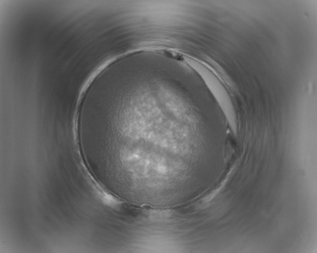 X0000075861196200609291540