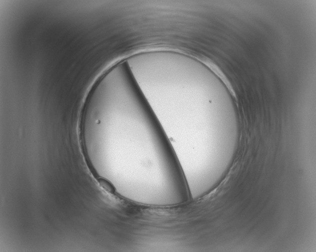 X0000075861197200609291540