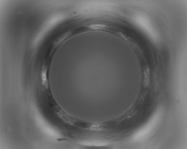 X0000075861198200609291540