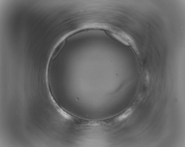 X0000075861199200609291540