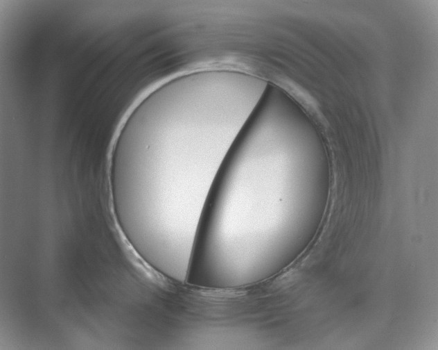 X0000075861200200609291540