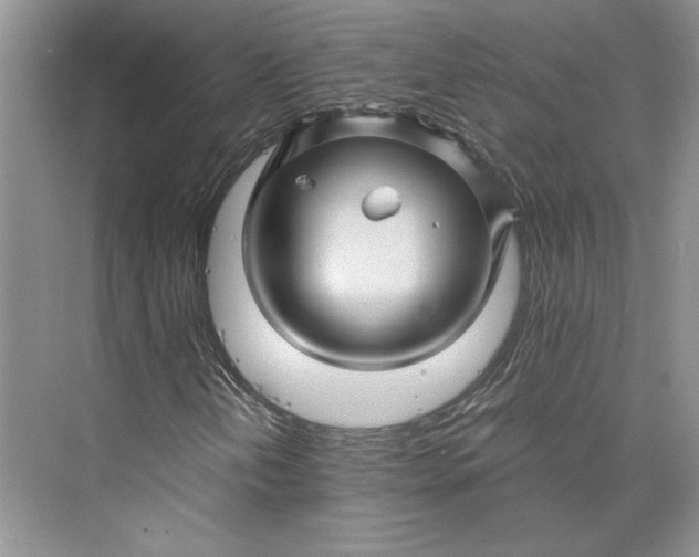 X0000075861202200609291539