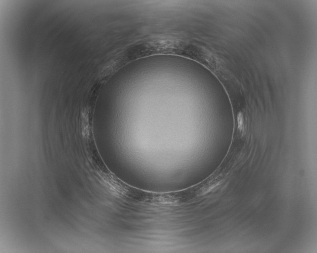 X0000075861203200609291539