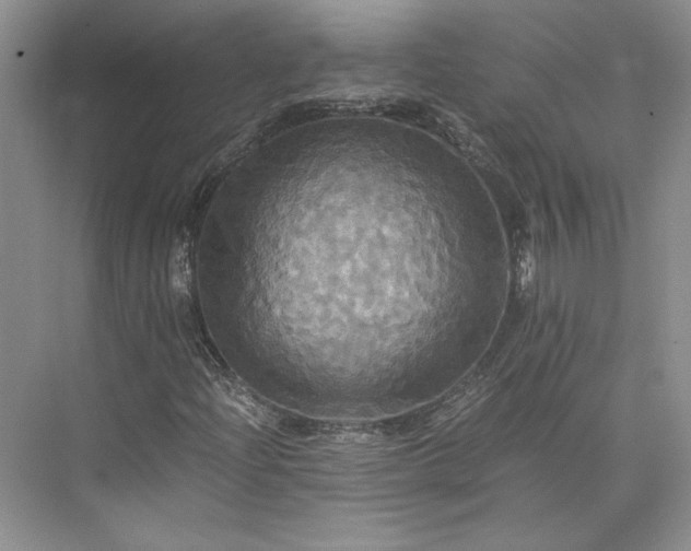 X0000075861204200609291539