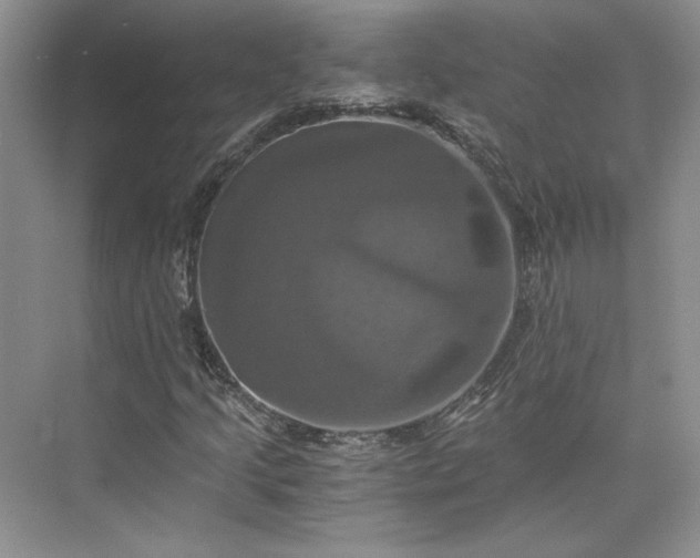 X0000075861205200609291539