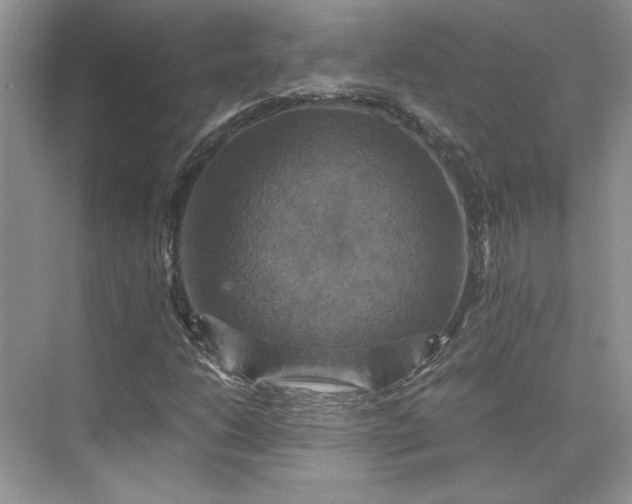 X0000075861206200609291539