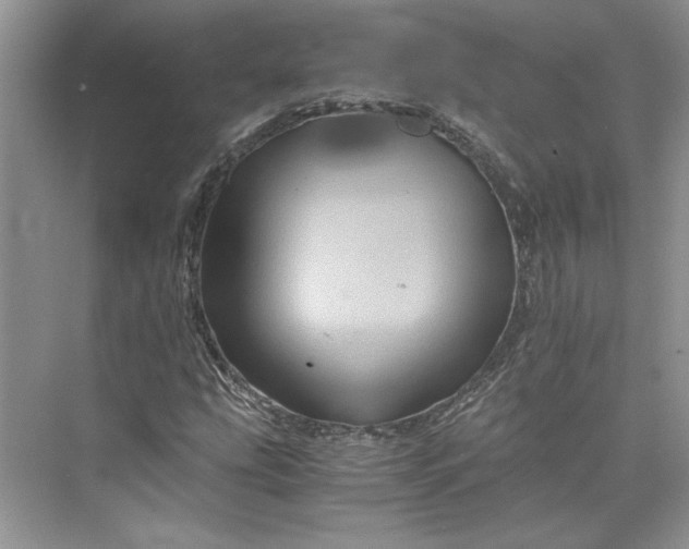 X0000075861207200609291539