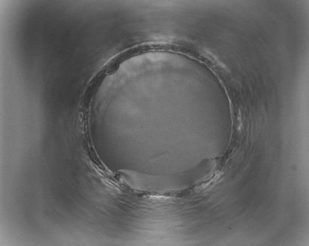 X0000075861208200609291539