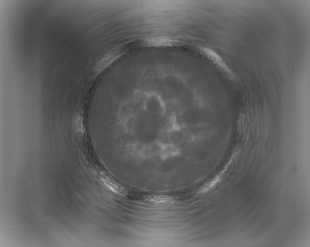 X0000075861209200609291539