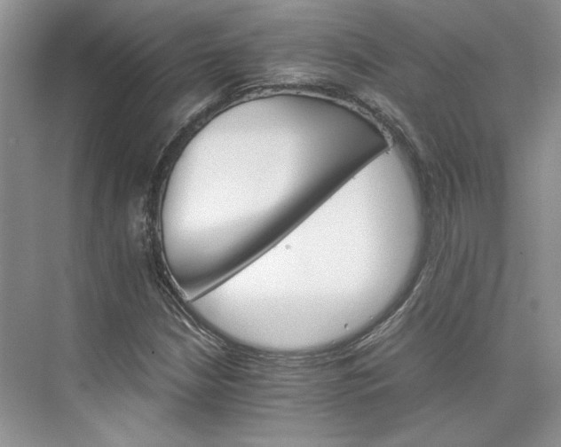 X0000075861210200609291539