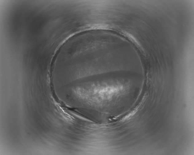 X0000075861212200609291539