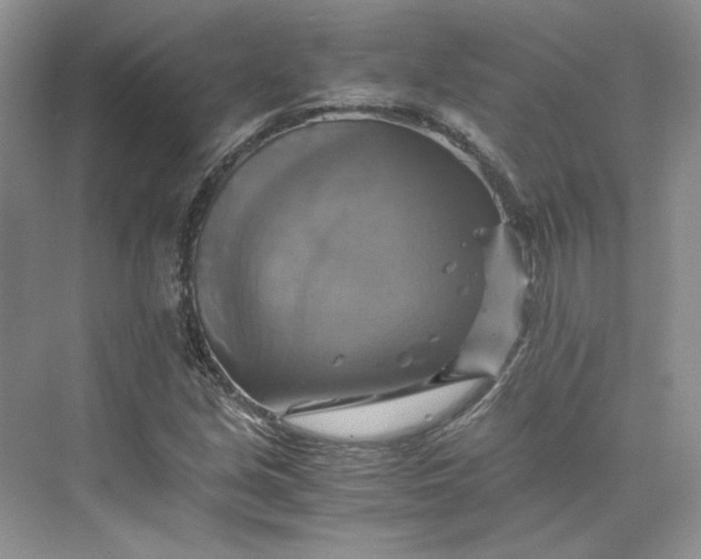 X0000075861213200609291539