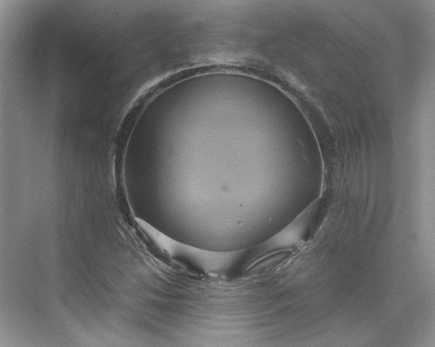 X0000075861214200609291539