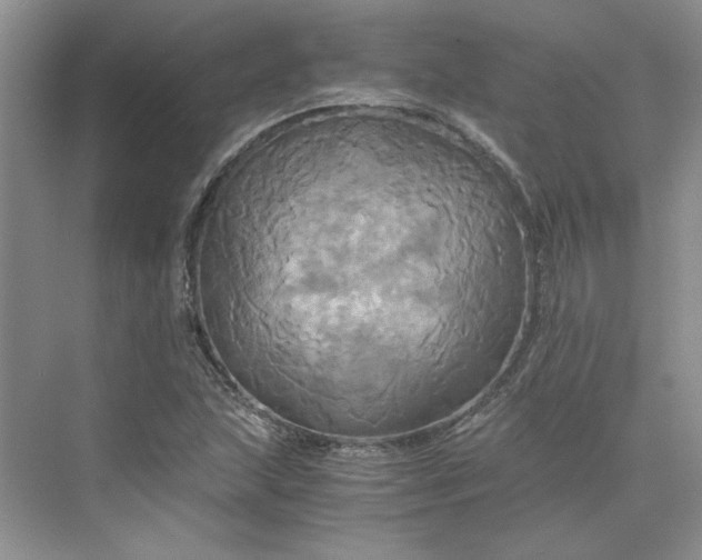 X0000075861215200609291539