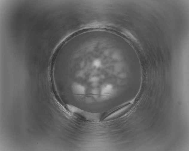 X0000075861216200609291539