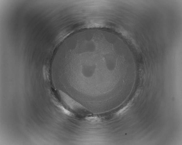 X0000075861217200609291539