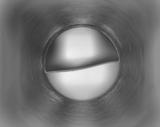 X0000075861218200609291539