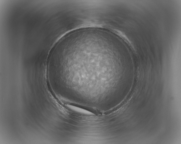 X0000075861220200609291539