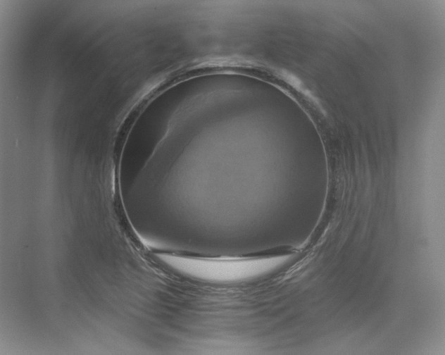 X0000075861221200609291539