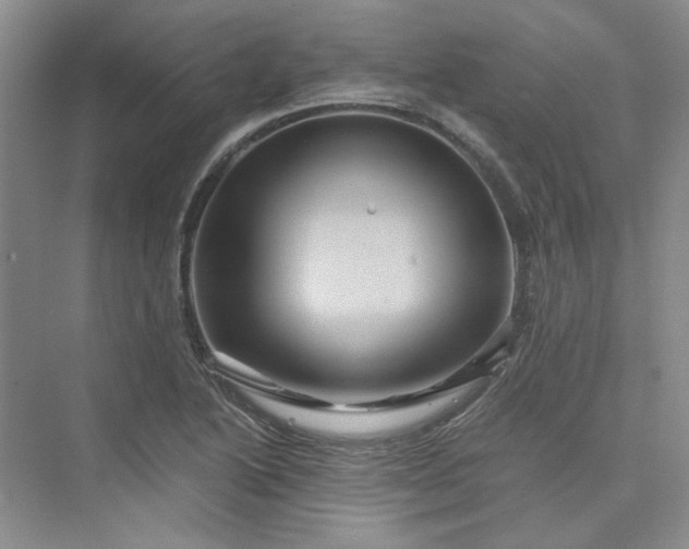 X0000075861222200609291539