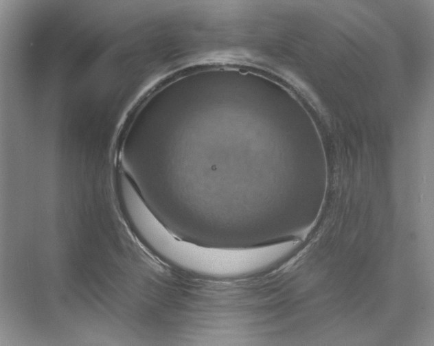 X0000075861224200609291539