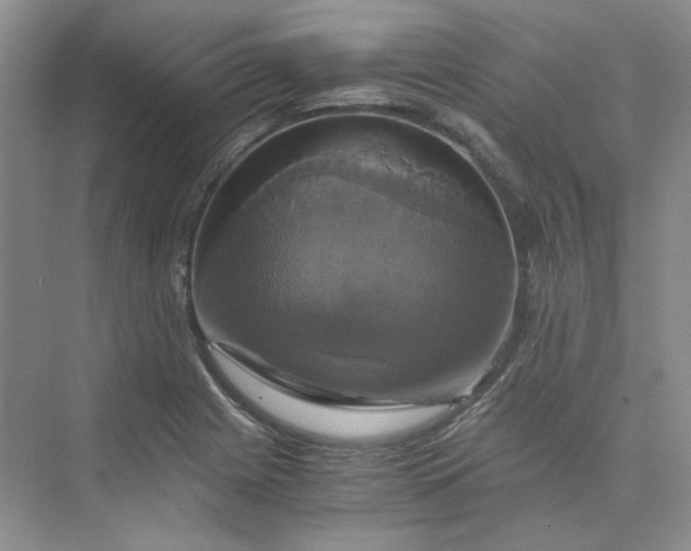 X0000075861225200609291539