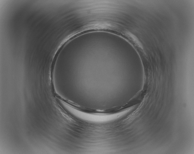 X0000075861226200609291539