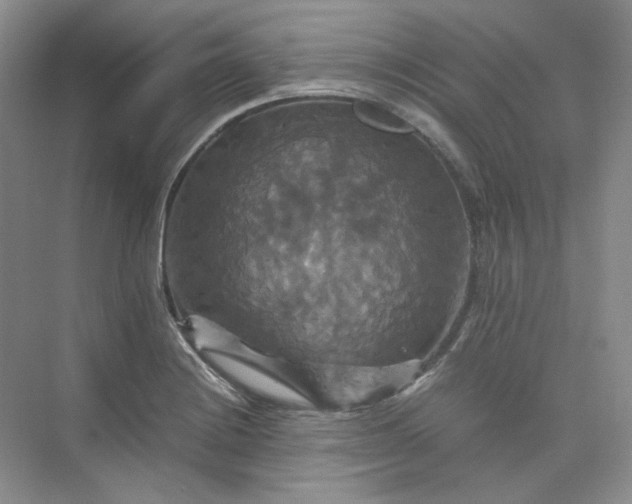 X0000075861228200609291539