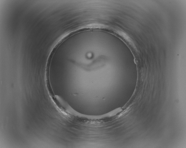 X0000075861229200609291539