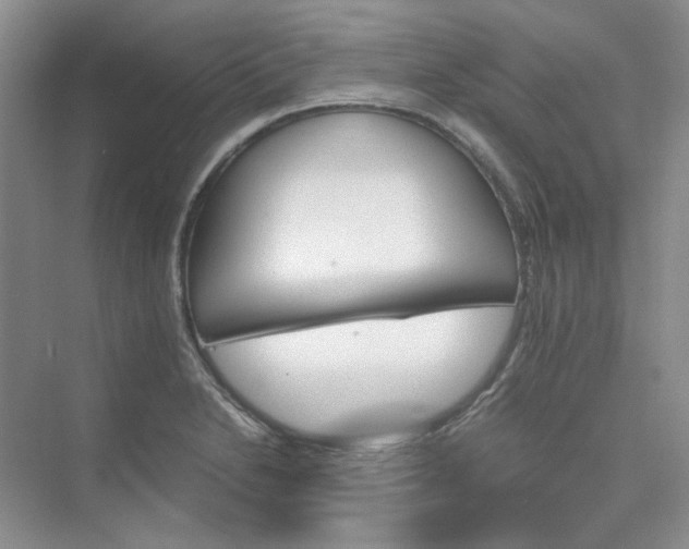 X0000075861230200609291539