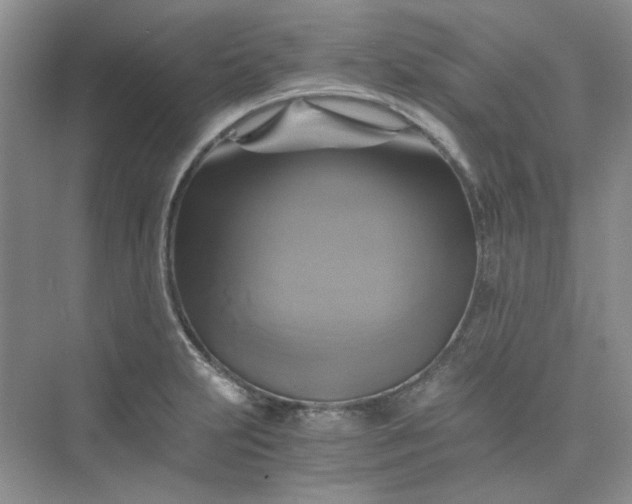 X0000075861231200609291539