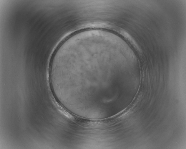 X0000075861232200609291539