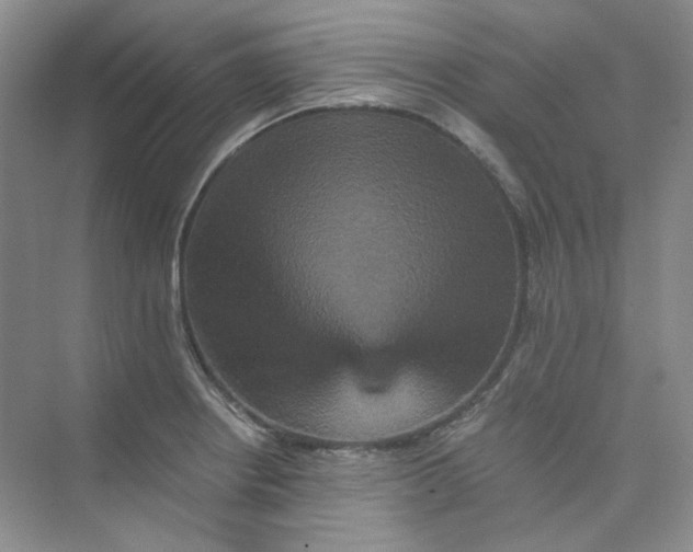 X0000075861234200609291539