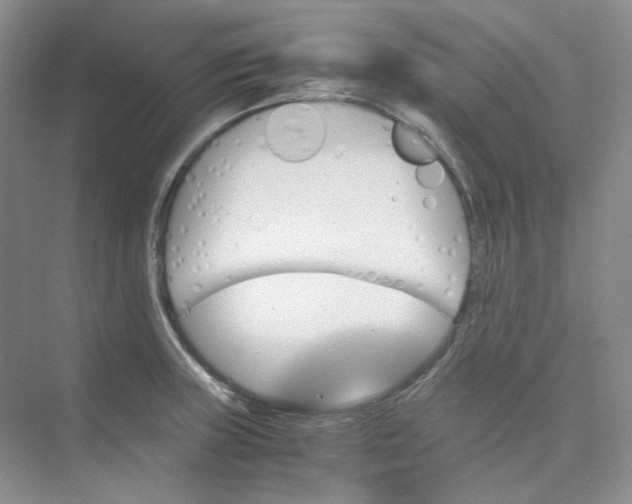 X0000075861235200609291539