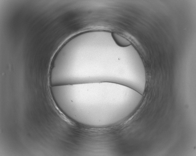 X0000075861236200609291539