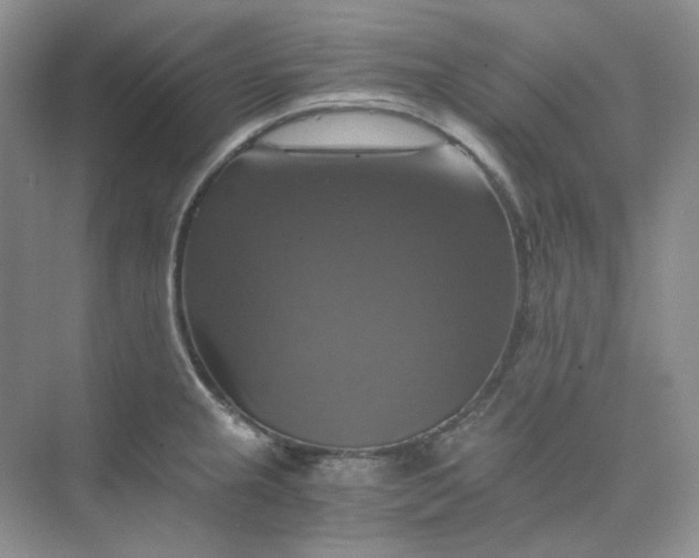 X0000075861237200609291539