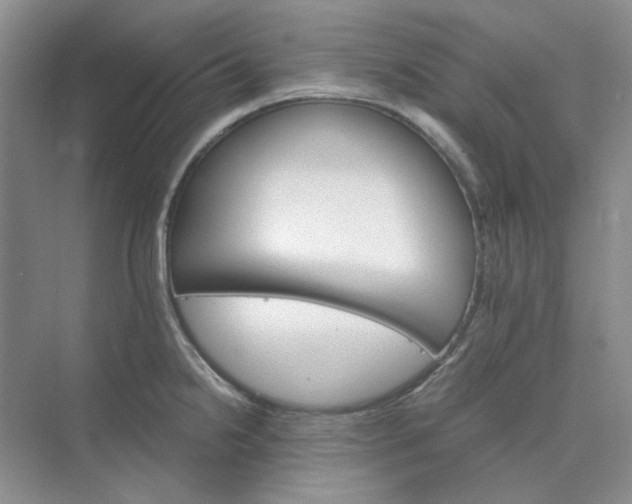 X0000075861238200609291539