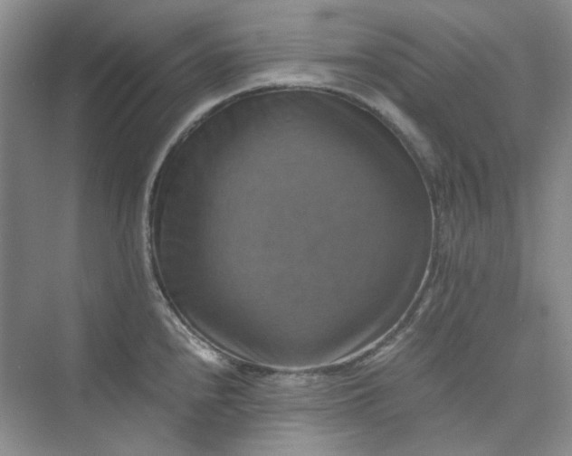 X0000075861240200609291539