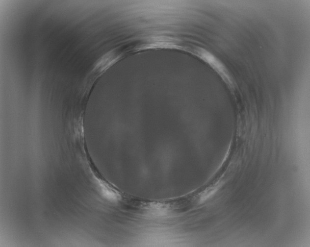 X0000075861241200609291540